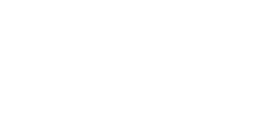bossainvest logo horizontal transparente_5-2 bossainvest logo horizontal transparente_5-2
